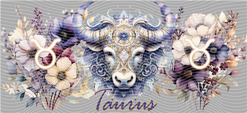 16oz Latest Bestseller-C 4258